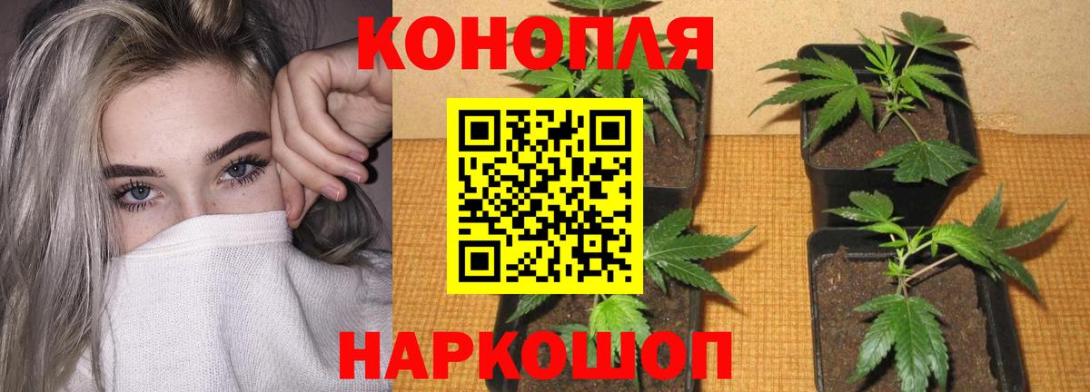 Бошки марихуана LSD WEED  Шишки марихуана ГИДРОПОН  МАРИХУАНА сатива  Вход с VPN  Ессентуки 